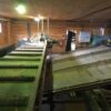 Sawmill - Image 23
