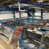 Dry board sorting line - Image 2