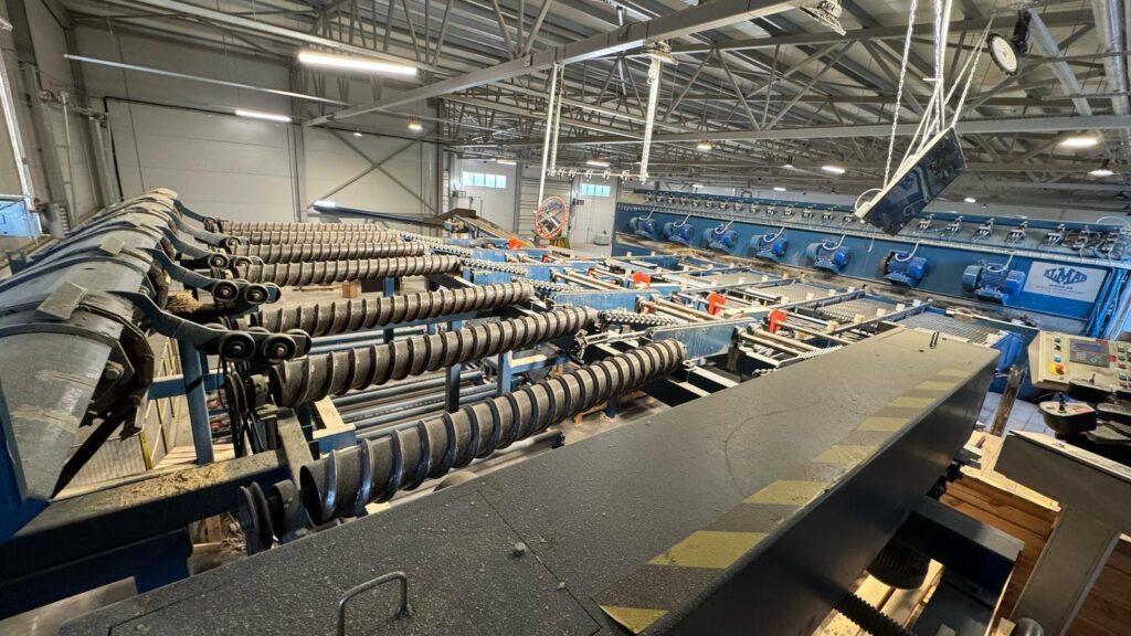 Dry board sorting line Almab - Image 4