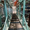 Dry board sorting line Almab - Image 2