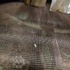 Granule screen Bühler - Image 10