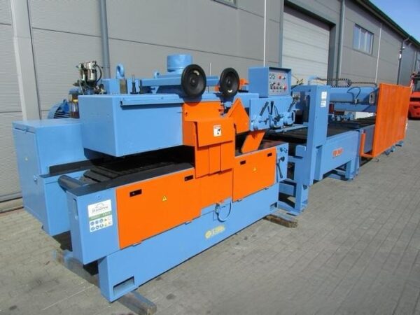 Double shaft multi-saw with a feeder A. COSTA LEOPARD D
