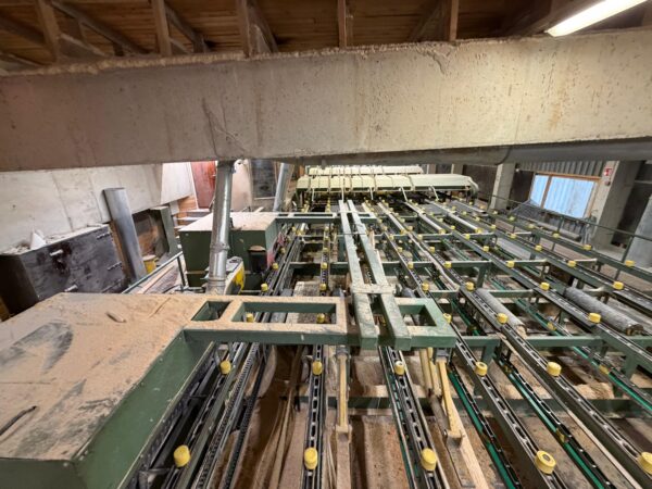 Sausā dēļu šķirošanas līnija